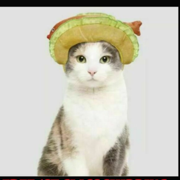 LOT OF 2 Cute Cat Costume - Hyde & EEK! Boutique -new with tags 1 CRAB & 1 TACO - Picture 3 of 5